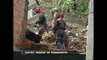 Em Mairiporã, quatro pessoas morreram soterrados e oito estão desaparecidas