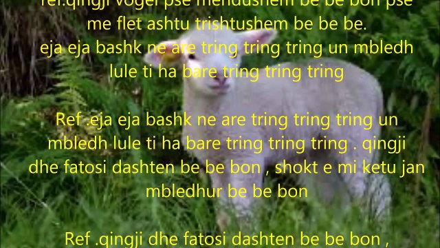 Qingji vogel Kenge per femije me tekst ne shqip