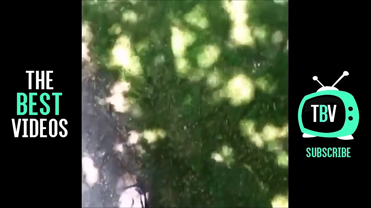 HE NEED SOME MILK VINE COMPILATION | Best He Needs Some Milk Vines | Vine Trend | The Best