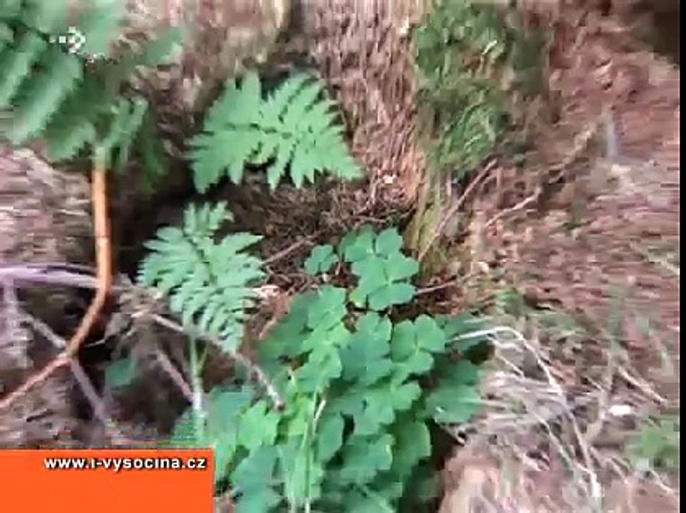 Hádka mezi vlastníky honiteb