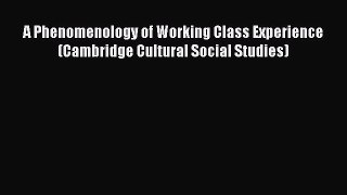 Read A Phenomenology of Working Class Experience (Cambridge Cultural Social Studies) Ebook