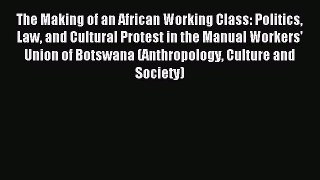 Read The Making of an African Working Class: Politics Law and Cultural Protest in the Manual