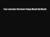 [Download PDF] Your Labrador Retriever Puppy Month By Month Read Free