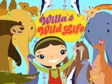 Willas Wild Life: Las grandes noticias de Papá / La señorita atlética Ep 21