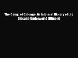 Read The Gangs of Chicago: An Informal History of the Chicago Underworld (Illinois) PDF Free