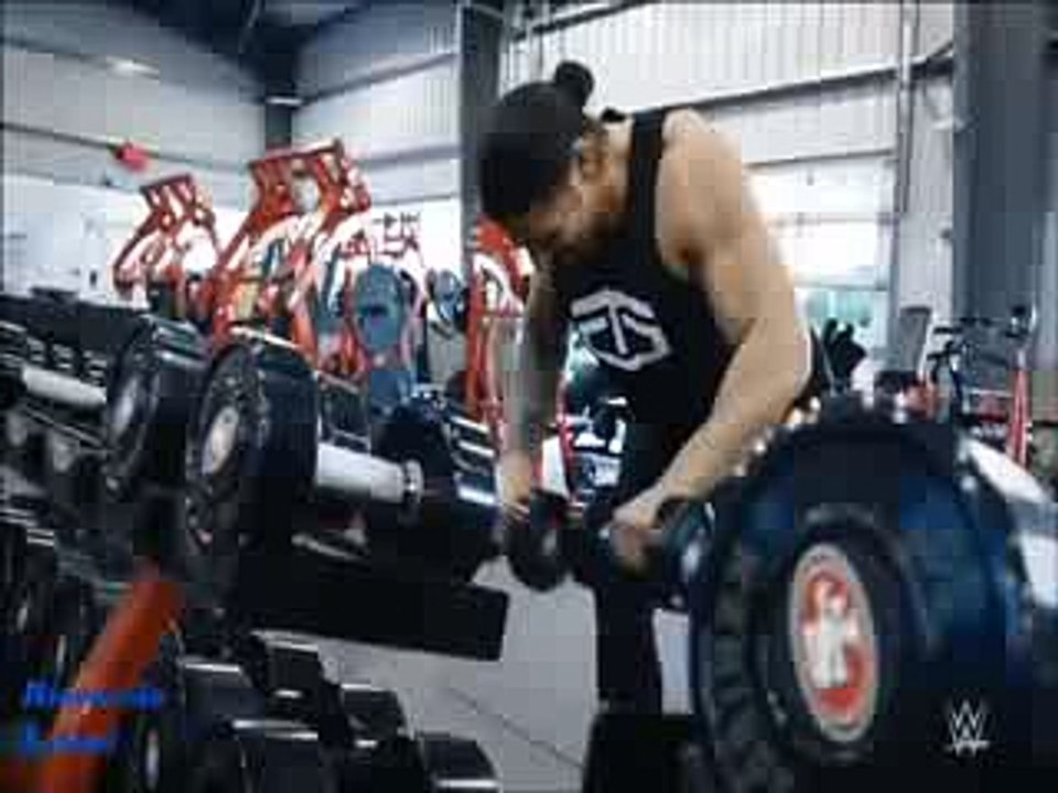 All 2015 Spear - Roman Reigns Tribute -special tribute .....the famous wrestler...