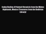 Read Codex Bodley: A Painted Chronicle from the Mixtec Highlands Mexico (Treasures from the