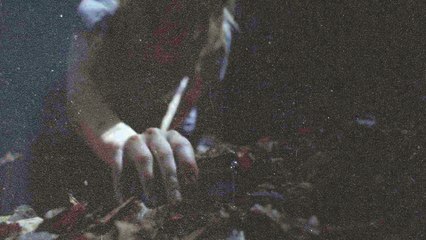 THE FOREST. EL BOSQUE 2016. CINE DE TERROR. ACIAGO FILMS