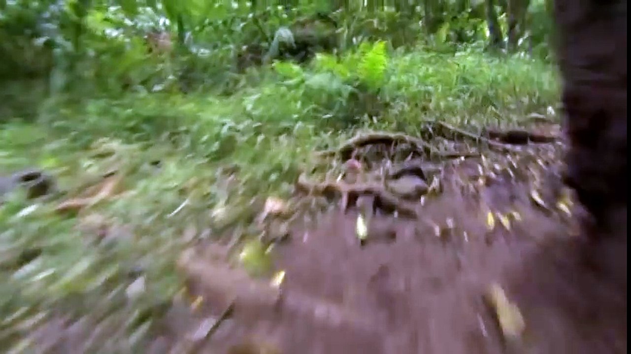 ТНТ-Комедия - Элвин и бурундуки 3