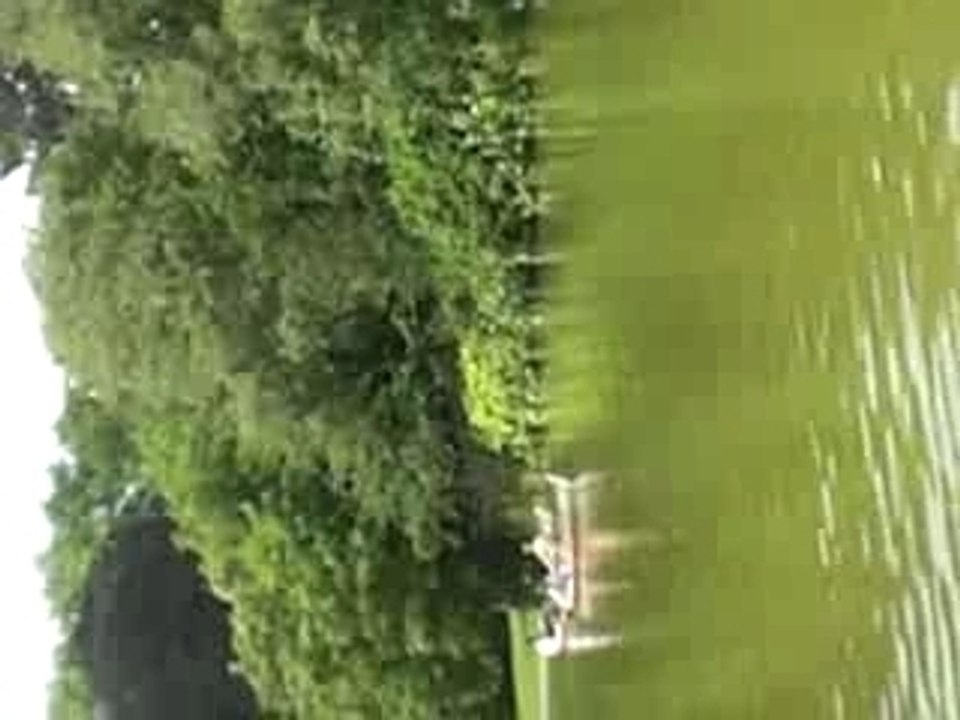 des cons dans une barque qui grattent l'amitier avec nous!