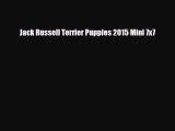 Download ‪Jack Russell Terrier Puppies 2015 Mini 7x7 PDF Free