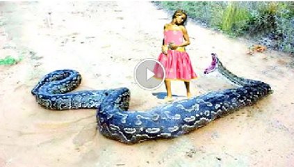 GIANT SNAKE KILLS TEEN GIRLS - Dubai Time