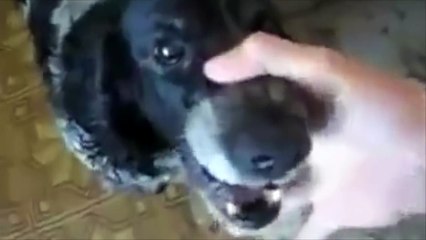 Funny clip รวมคลิปตลกสุดฮา EP 6