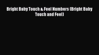 Download Bright Baby Touch & Feel Numbers (Bright Baby Touch and Feel) PDF Free