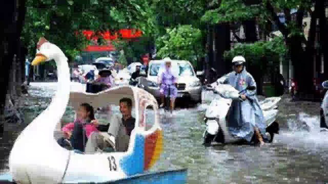 The funny animal pictures 2016 l Nhung hinh anh hai huoc dong vat 2016