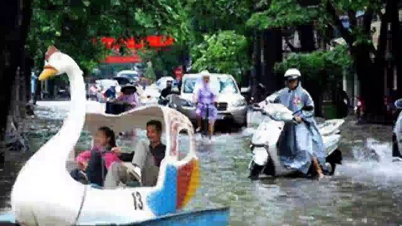 The funny animal pictures 2016 l Nhung hinh anh hai huoc dong vat 2016