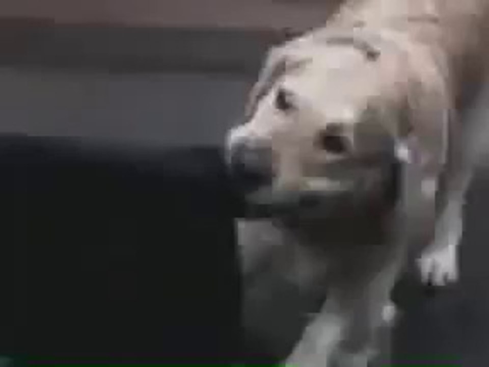 ик