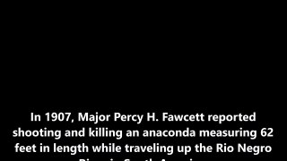 Giant Anaconda - Percival Harrison Fawcett