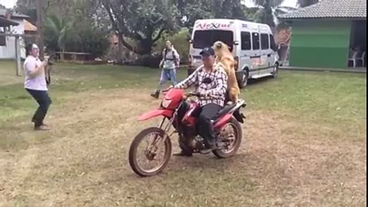 Funny