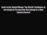 Read Gods in the Global Village: The World's Religions in Sociological Perspective (Sociology