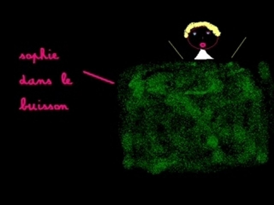Buisson