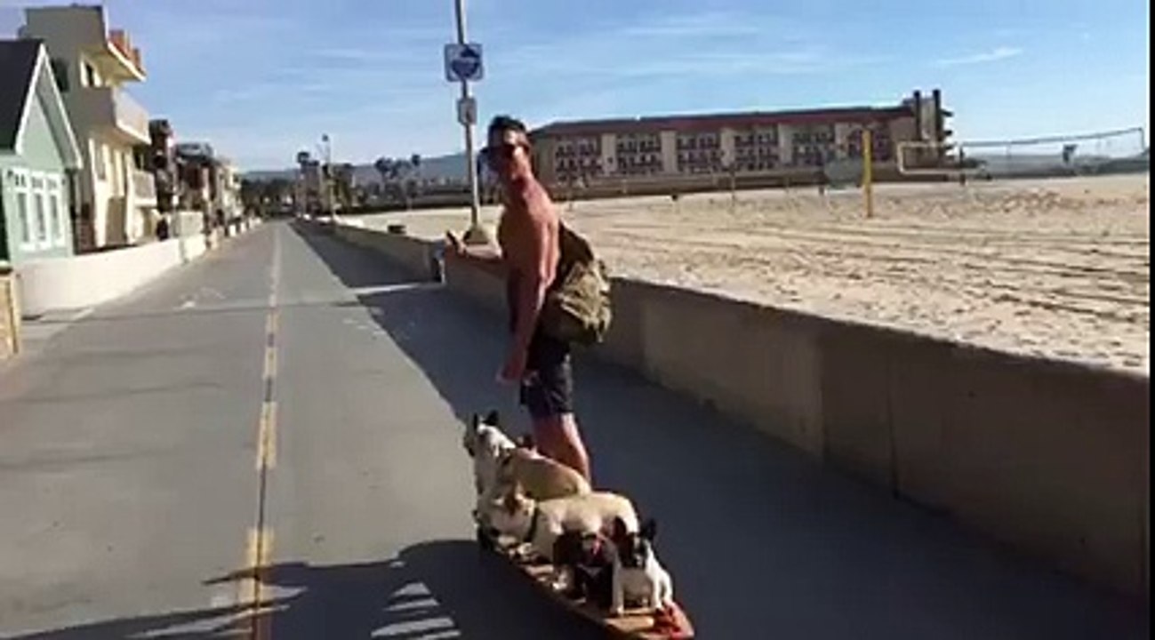 Skate with my dogs
