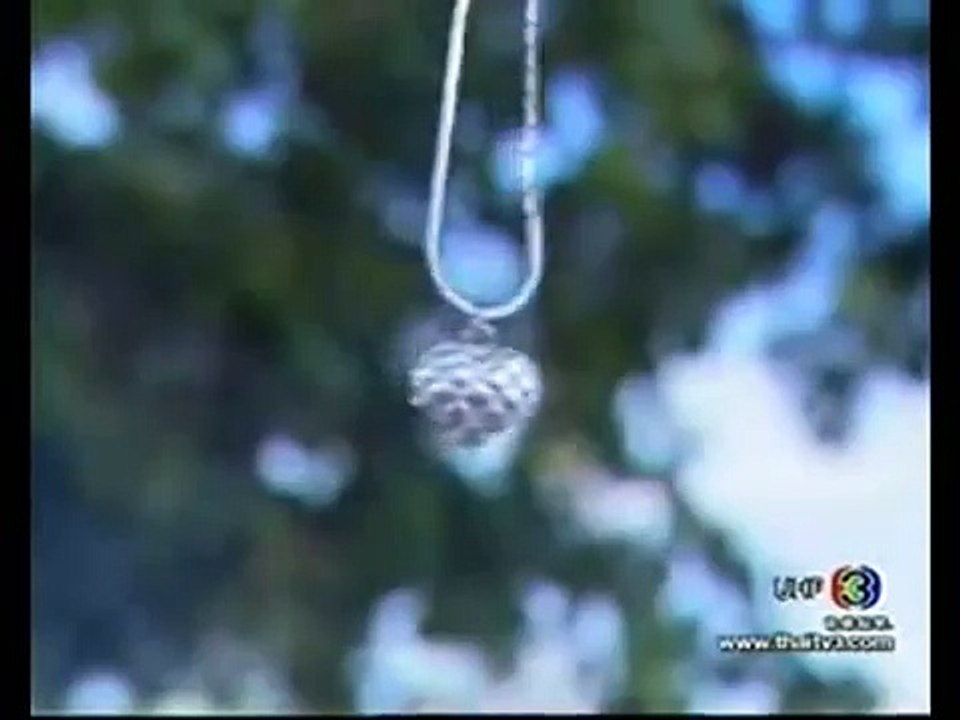 ♫ Koob Tsheej Xyooj - Tus Kuv Hlub Tshaj Yog Koj   ♫