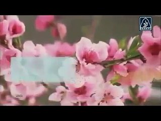 Emotional Heart Wrenching Tilawat e Quran You Must Cry