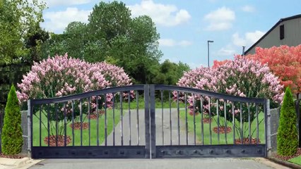 Landscaping Company Charlotte Nc