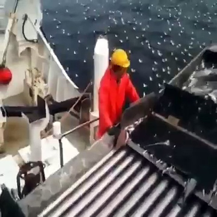 Fish killers