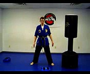 karate for beginners lesson 1