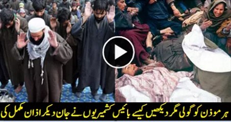 Forgotten chapter of history