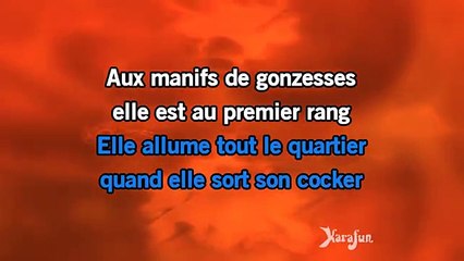 Renaud - Dans mon H.L.M KARAOKE / INSTRUMENTAL