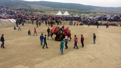 13 MART BULDAN DEVE GÜREŞİ  ENFER EFE  KANKA