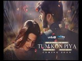Tum Kon Piya OST Title Song _ Ayeza Khan _ Imran Abbas