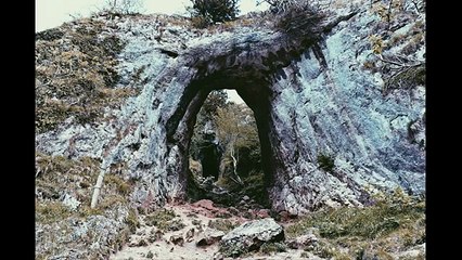 Asus Zenfone 2 Camera