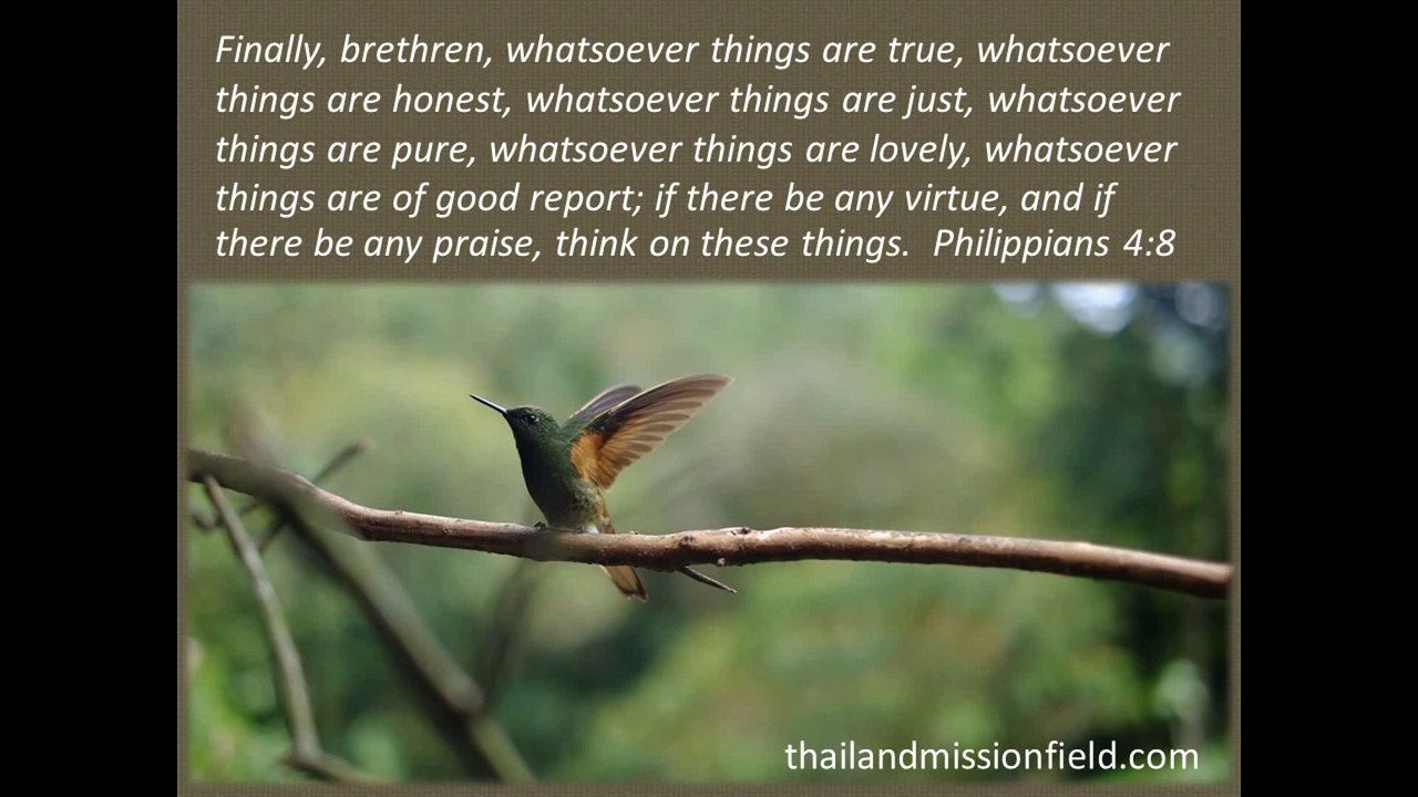 God's awesome creation part 11