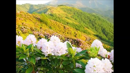 İMERA - Kaval Horonu