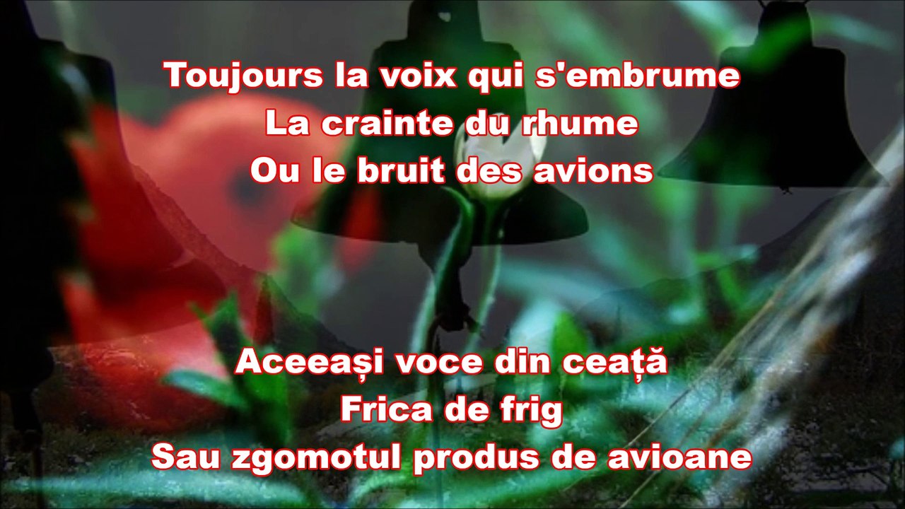 Francis Cabrel Le temps s'en allait ( Sous titres traducere romană