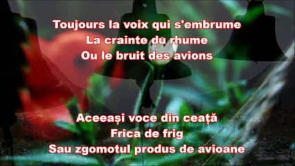 Francis Cabrel - Le temps s'en allait ( Sous titres - traducere romană )