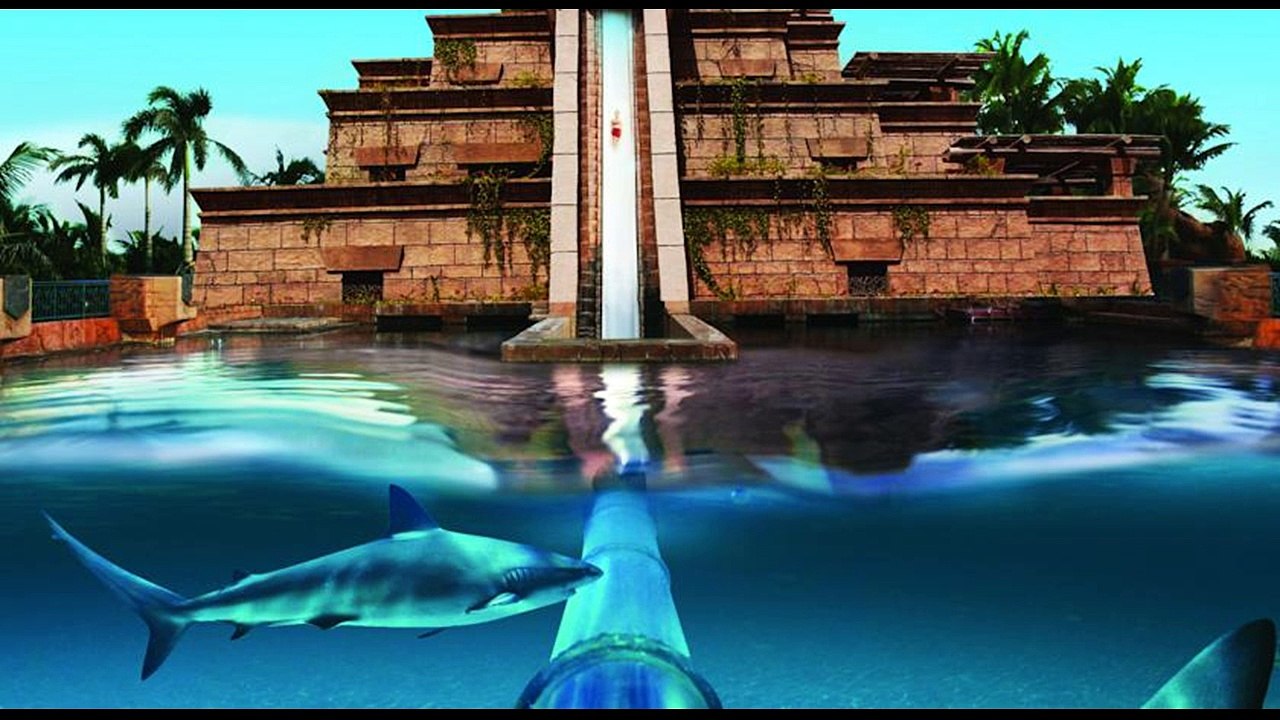 افضل فنادق دبي | فندق اتلانتيس دبي Atlantis The Palm, Dubai