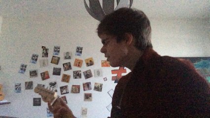 Palace - Veins - Cover