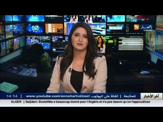 محمد طيبي   المعارضة أخذت مصيرا سياسيا معاديا ومقاطعا للنظام السياسي فهي في مأزق أخلاقي