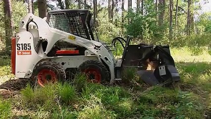 stump grinding southside