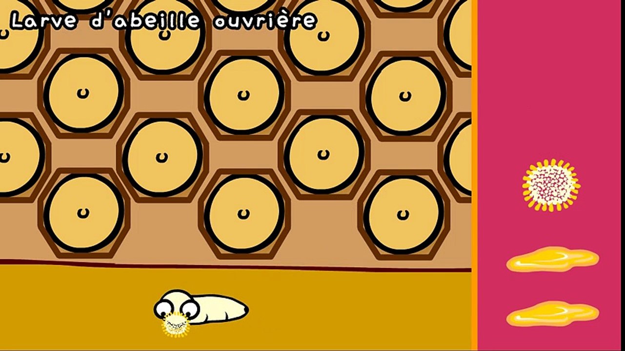 Le secret des abeilles - Dessin animé éducatif Genikids  Dessins Animés Pour Enfants