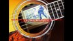 Egypt airport officials defaced my vintage guitar- Bryan Adams