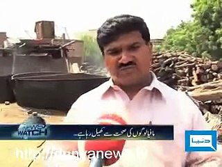 News allaha maf kare