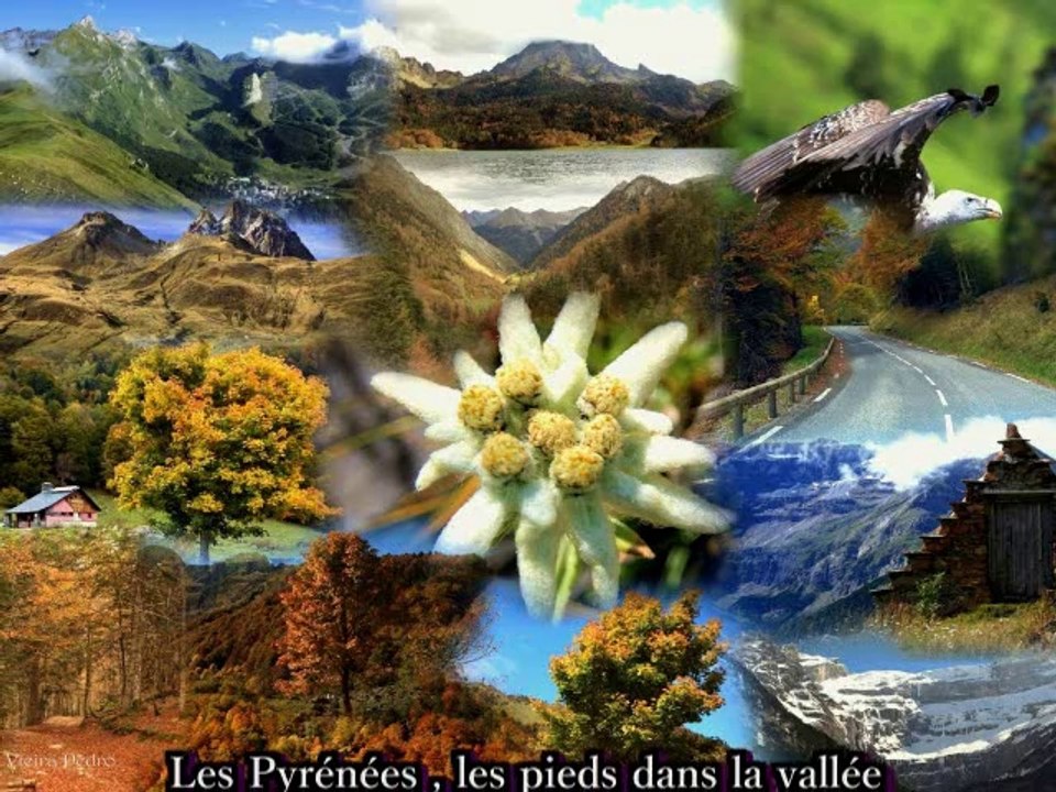 MONTAGNES PYRENEES FOREVER