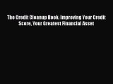 Read The Credit Cleanup Book: Improving Your Credit Score Your Greatest Financial Asset Ebook