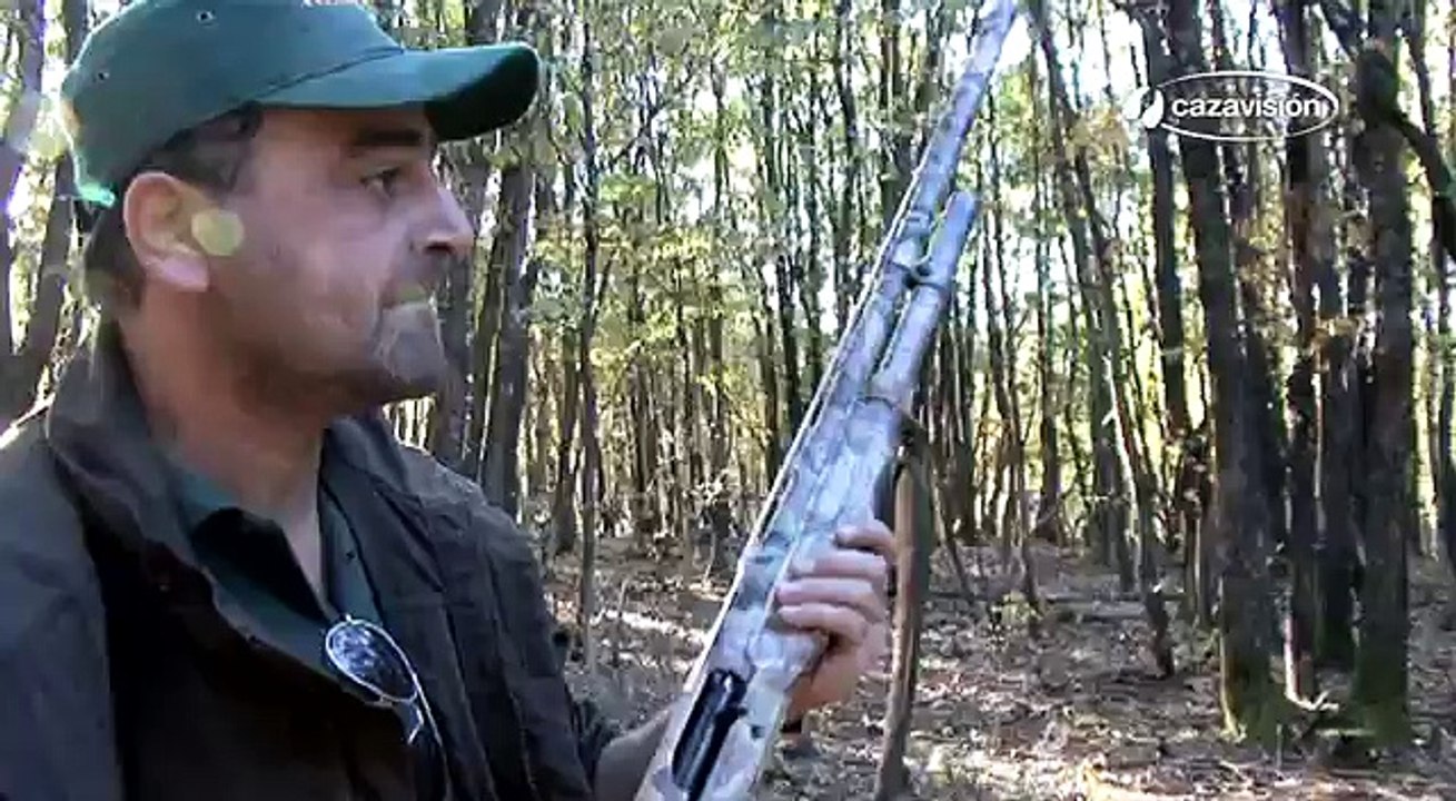 Caza de jabalí. Las mejores batidas / Wild Boar hunting best moments compilation